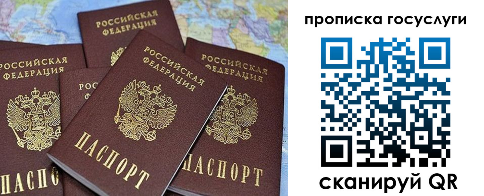прописка 2025 в Петровске